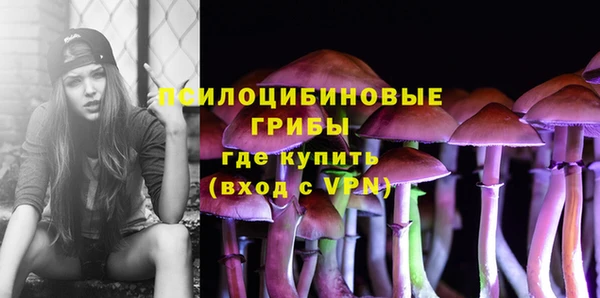 молекула духа Алексеевка