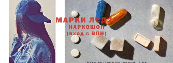 ГАЛЛЮЦИНОГЕННЫЕ ГРИБЫ Арсеньев