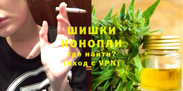 ГАЛЛЮЦИНОГЕННЫЕ ГРИБЫ Арсеньев