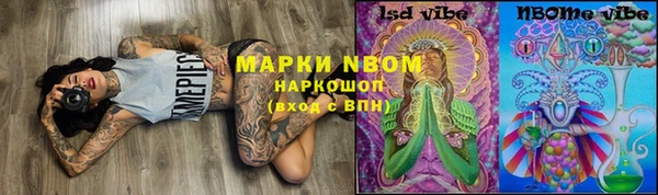 ГАЛЛЮЦИНОГЕННЫЕ ГРИБЫ Арсеньев