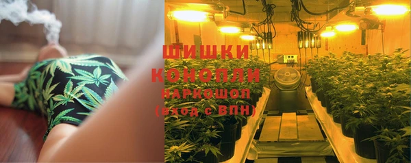 ГАЛЛЮЦИНОГЕННЫЕ ГРИБЫ Арсеньев